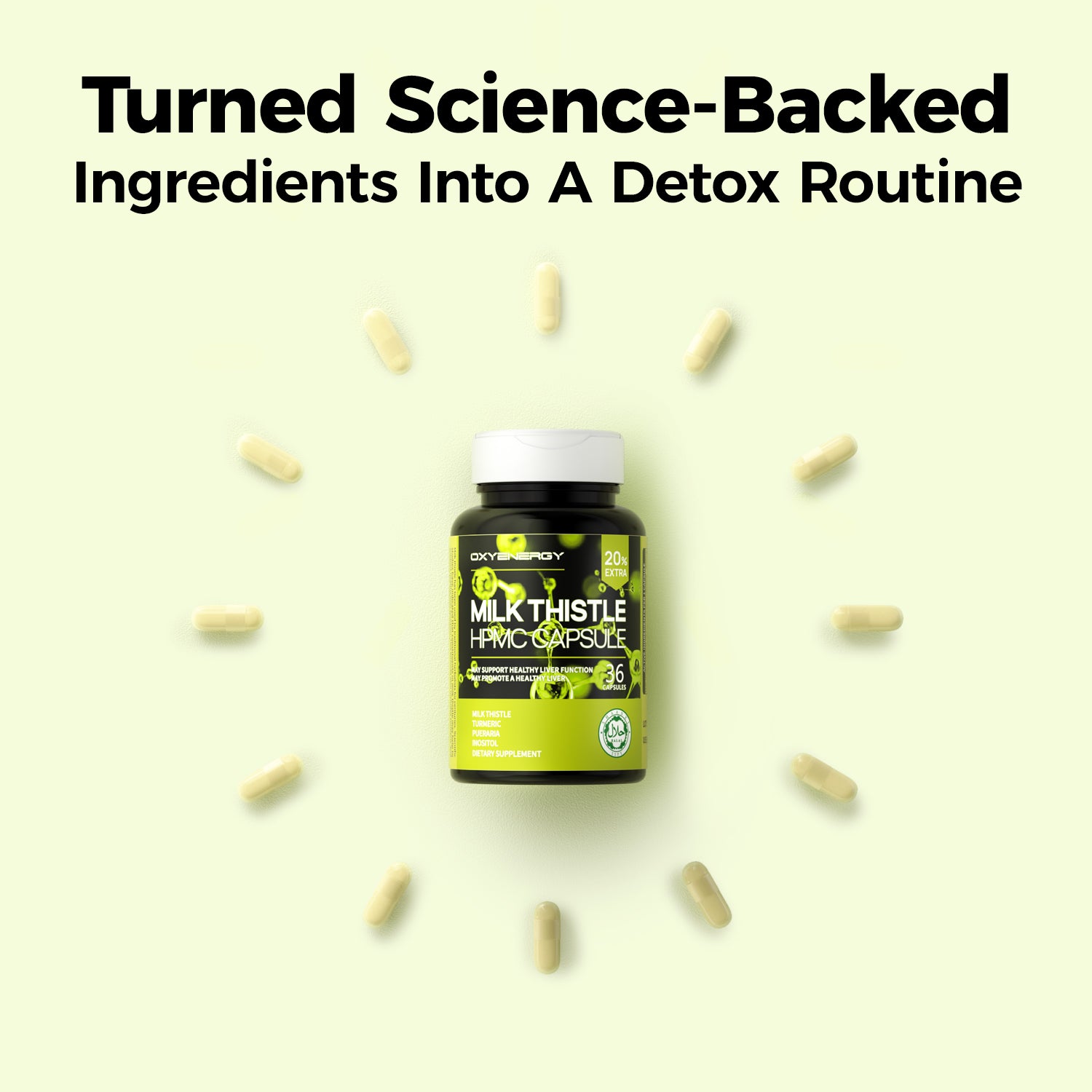 OXYENERGY Milk Thistle HPMC Capsule