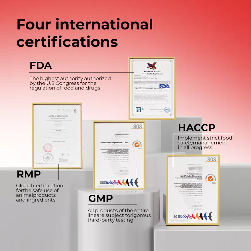 OXYENERGY Iron Complx Powder