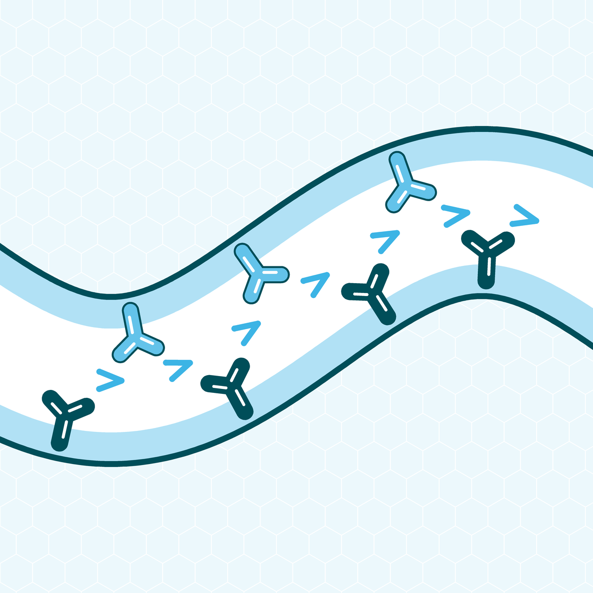 Diagram of the gut: Bifidobacteria adhering to the intestinal wall, with arrows showing the gut pushing forward regularly