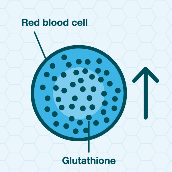 Flat diagram: a red blood cell filled with dots representing glutathione, with an upward arrow beside it (no numbers shown on diagram)