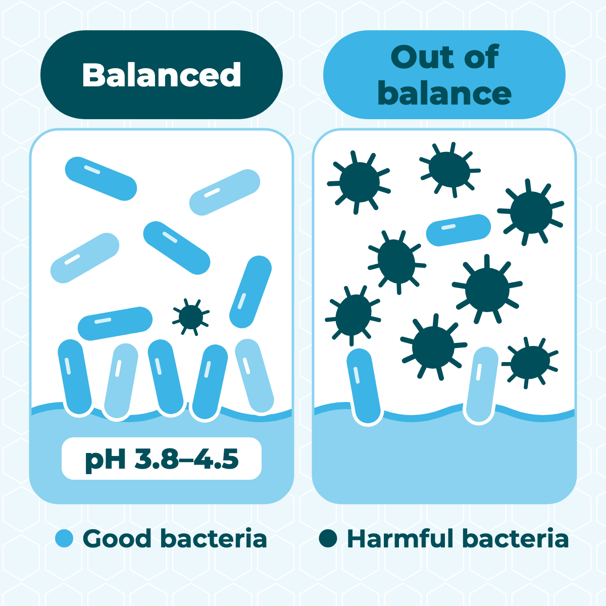 Flat schematic diagram: lactobacilli dominate the intimate area, maintaining a mildly acidic environment with few harmful bacteria