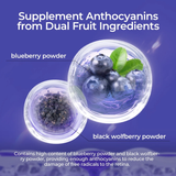 OXYENERGY Blueberry Lutein Ester