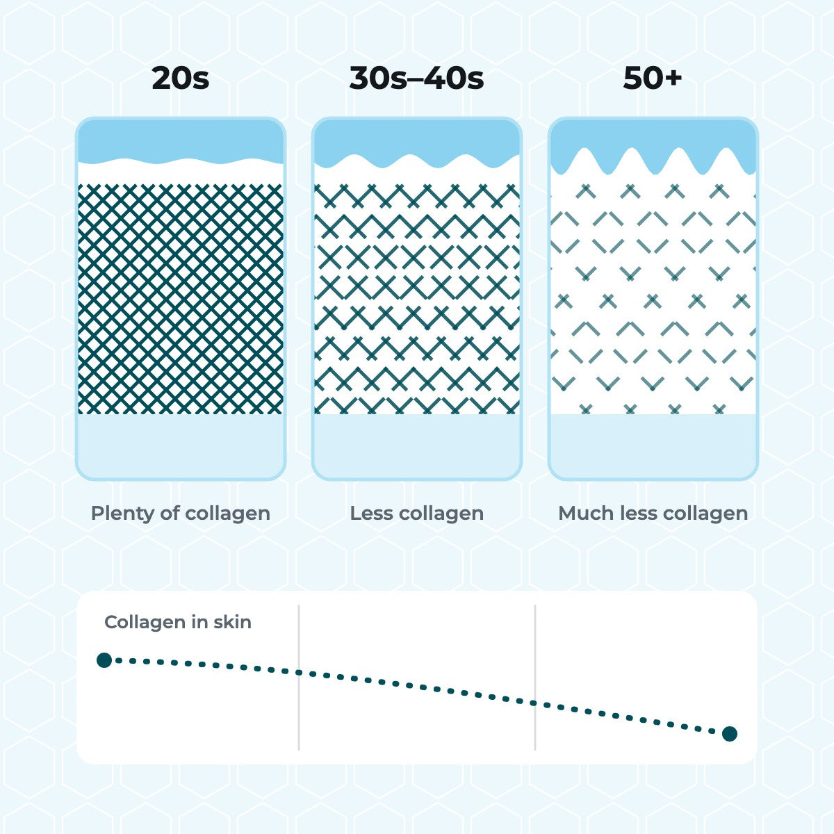 Skin diagrams at three ages showing collagen thinning in the dermis, with a declining curve below