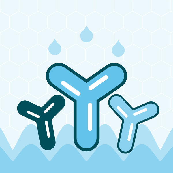 Bifido­bacterium HN019