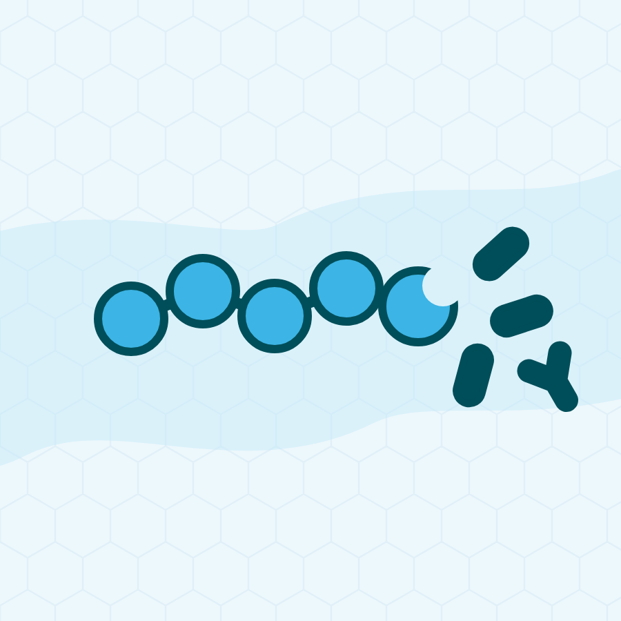 Inulin, isomalto-oligo­saccharide