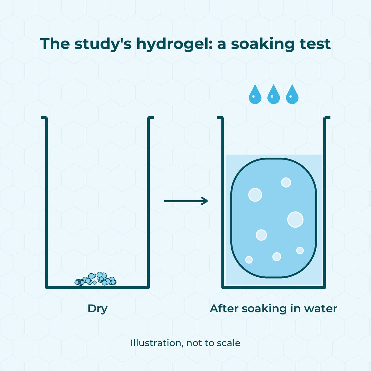 Illustration: the study's hydrogel soaking test—a small pinch of dry material placed in water, swelling into a large mass after absorbing water (illustration, not to scale).