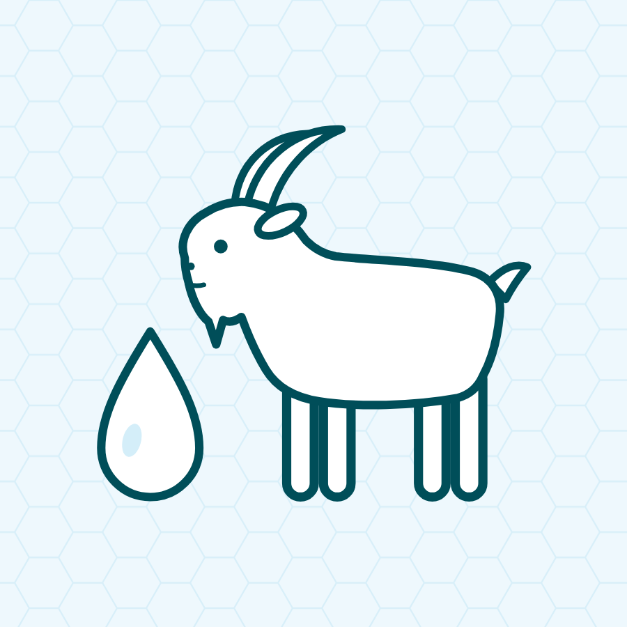Whole goat milk powder