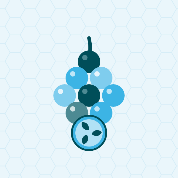 Grape seed extract