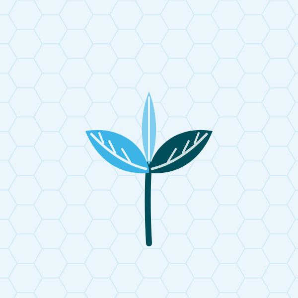 Green tea extract