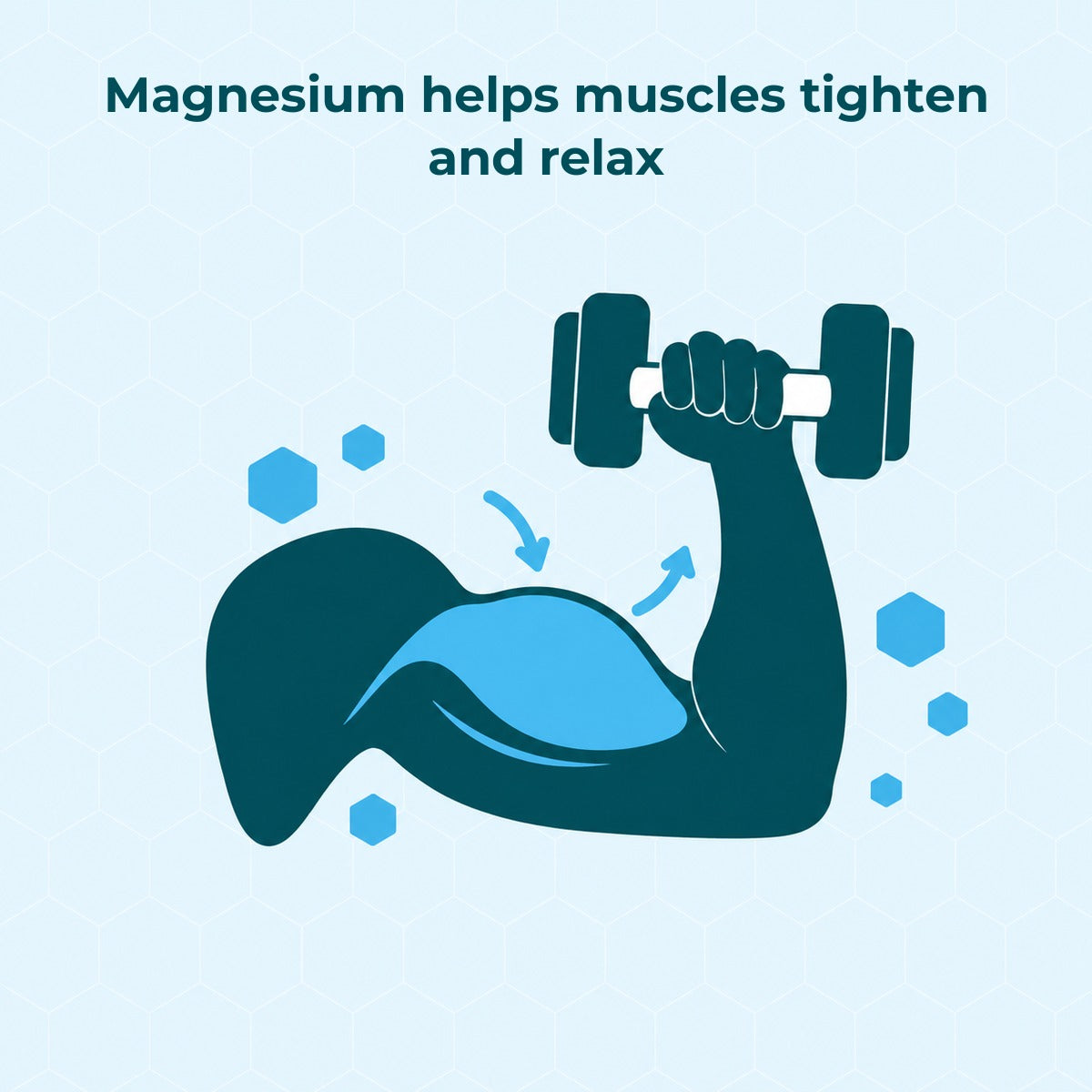Magnesium helps muscles tighten and relax: an arm flexing with a small dumbbell, the biceps shown in sky blue, with two small arrows for tightening and relaxing