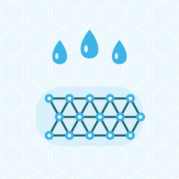 Chondroitin and hyaluronic acid