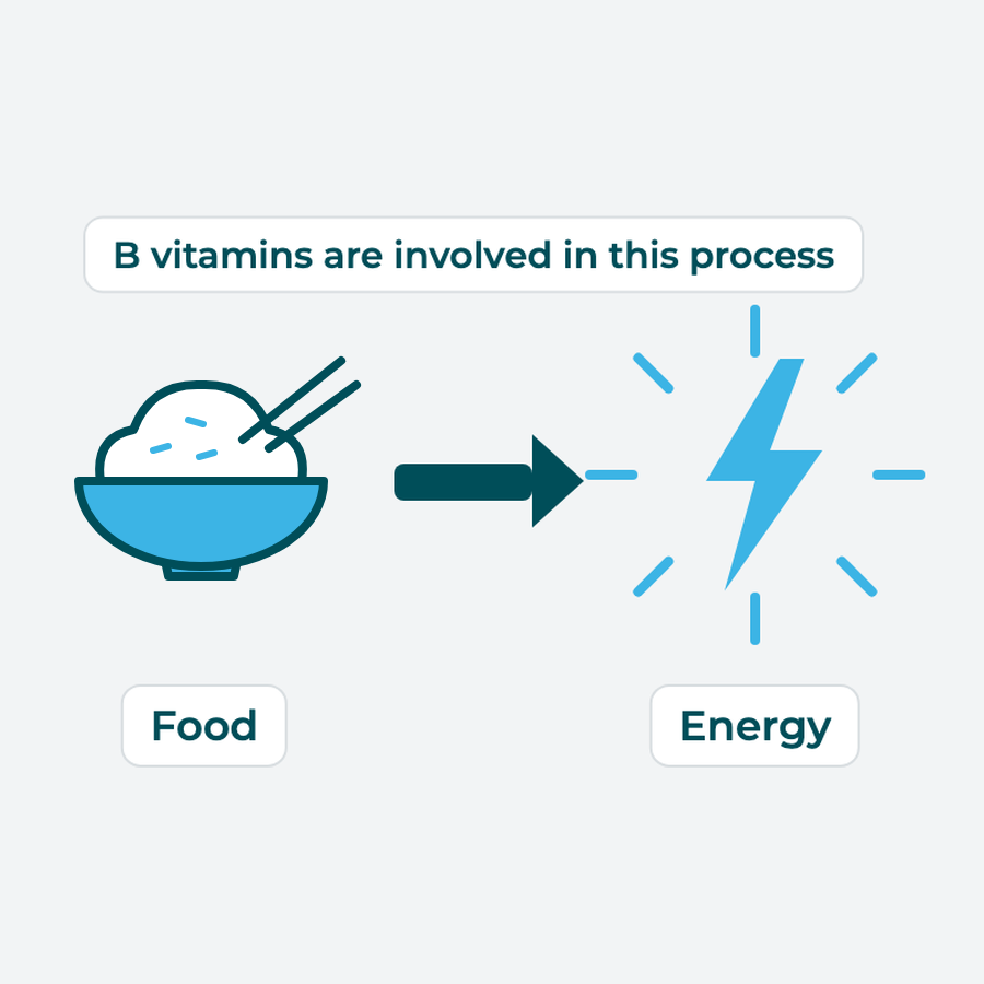 Flat diagram: A meal is converted into energy through the body, labelled with B vitamins involved in this process.