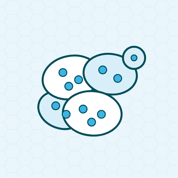 Selenium yeast