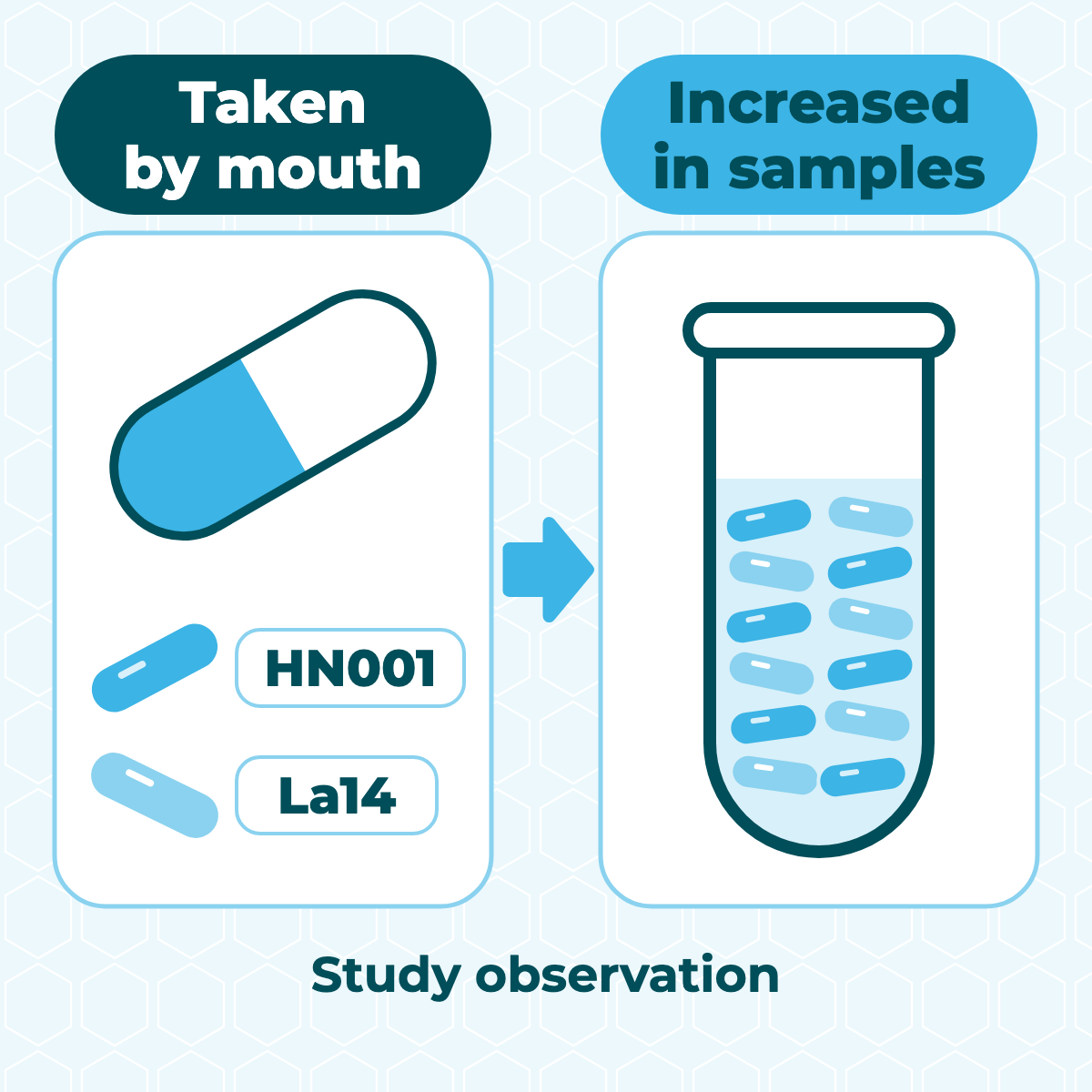 Flat schematic diagram: 1 capsule next to a small vial of a sample from the intimate area, showing an increase in 2 lactobacillus strains (study observation)