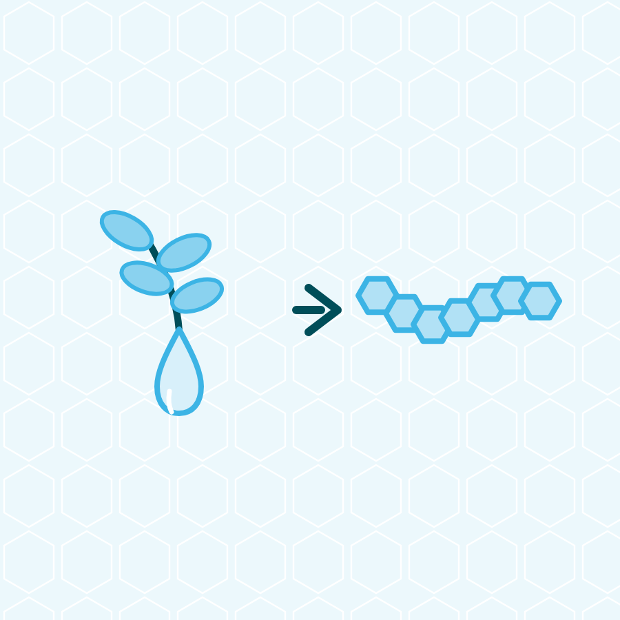 Two prebiotics